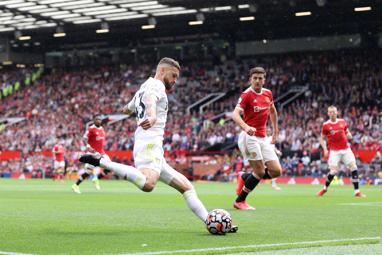 重要的作用 重要的作用