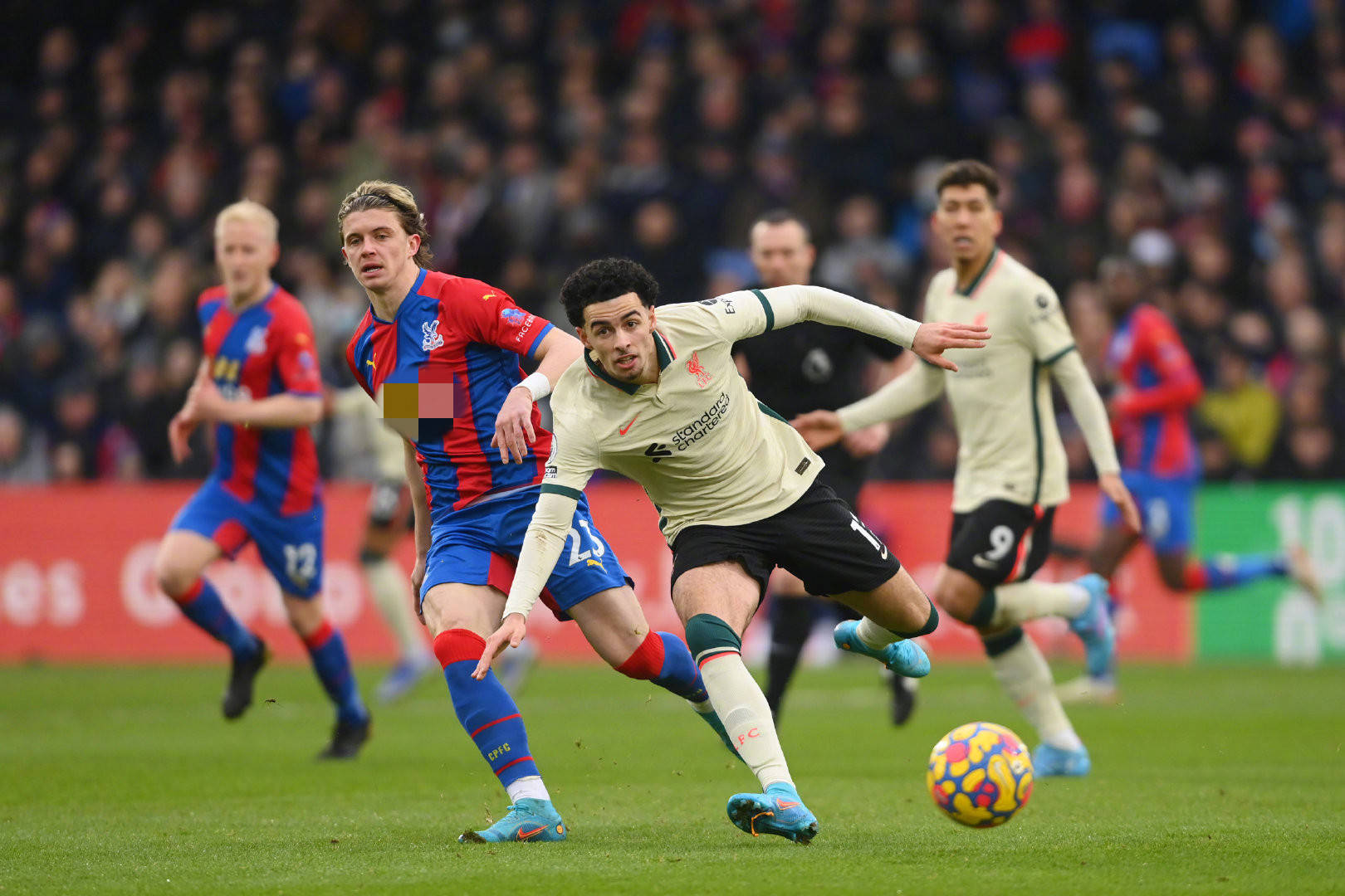 的绿色转型 的绿色转型